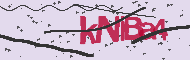 Kod CAPTCHA